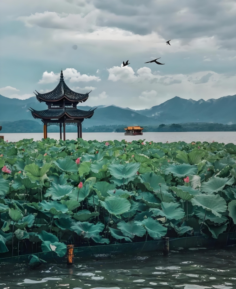 台湾同胞杭州旅游攻略