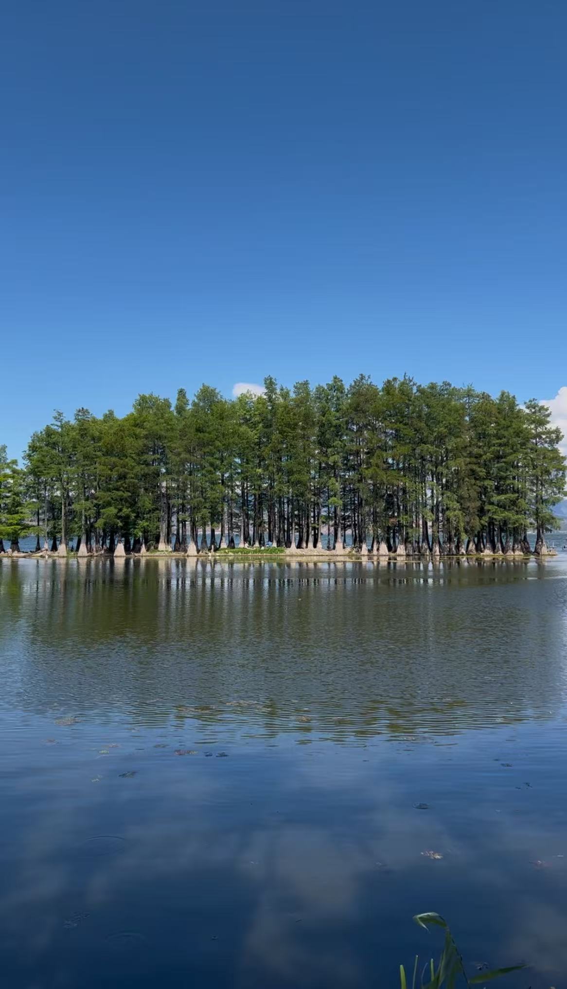 5-Day Yunnan Dali Travel Guide | Cangsha
